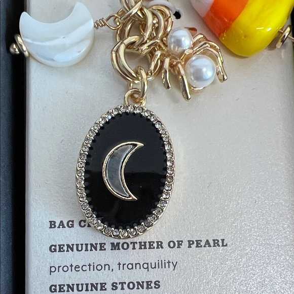 Luna Norte | Celestial/October Vibe Bag Charm - Picture 4 of 10